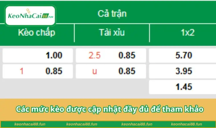 Các mức kèo được cập nhật đầy đủ để tham khảo
