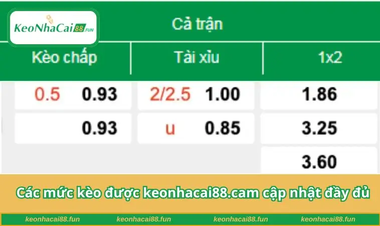 Các mức kèo được keonhacai88.cam cập nhật đầy đủ