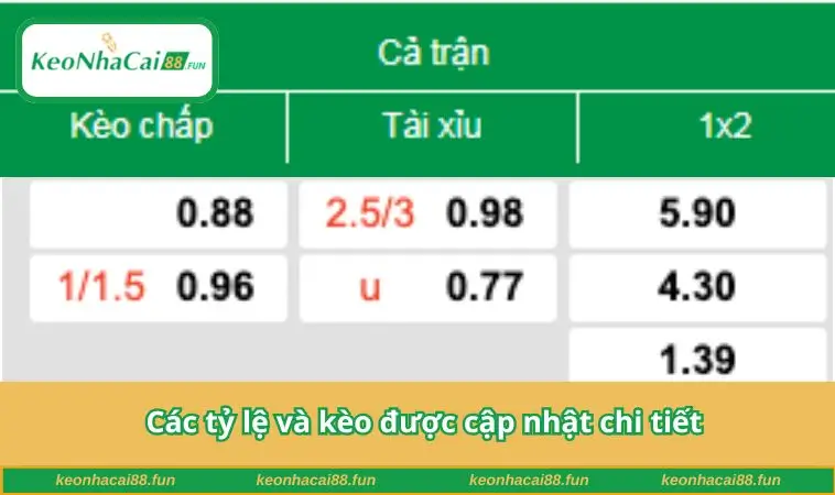 Các tỷ lệ và kèo được cập nhật chi tiết
