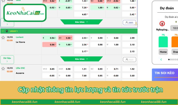 Cập nhật thông tin lực lượng và tin tức trước trận