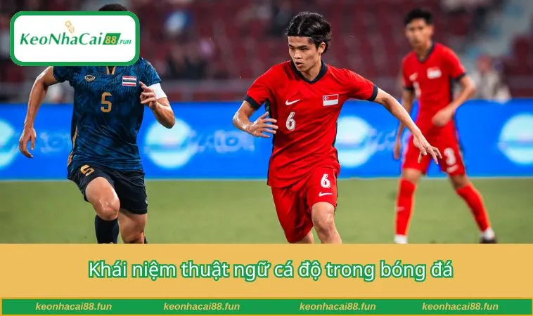 Khái niệm thuật ngữ cá độ trong bóng đá