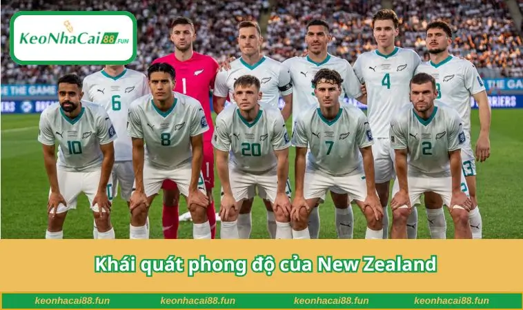 Khái quát phong độ của New Zealand