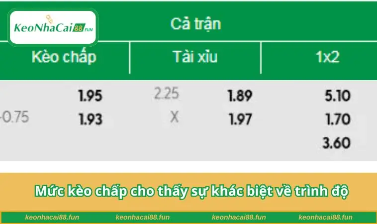 Mức kèo chấp cho thấy sự khác biệt về trình độ