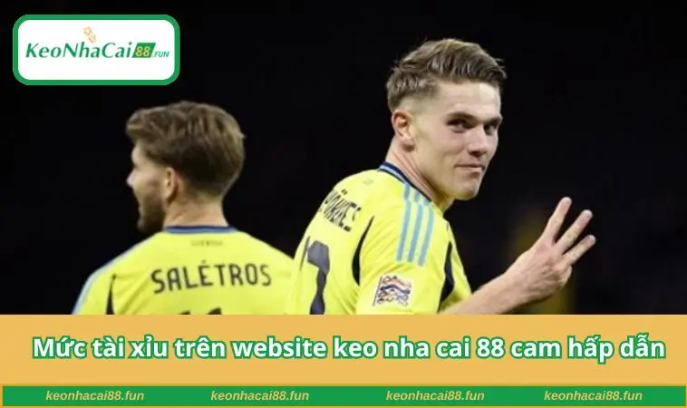 Mức tài xỉu trên website keo nha cai 88 cam hấp dẫn