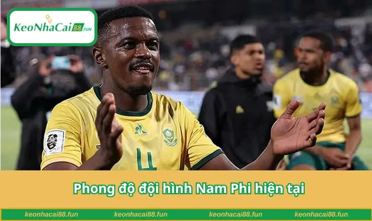Phong độ đội hình Nam Phi hiện tại