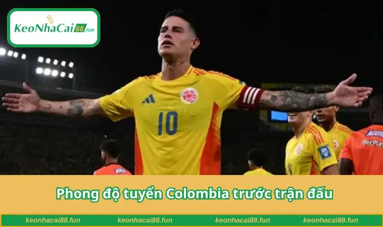 Phong độ tuyển Colombia trước trận đấu