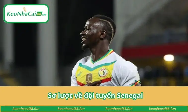 Sơ lược về đội tuyển Senegal