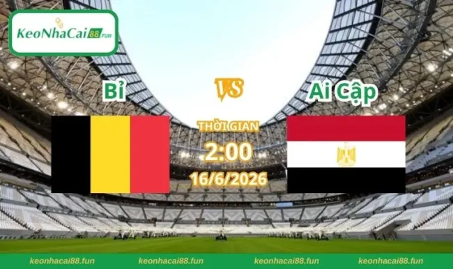 soi kèo World Cup Bỉ vs Ai Cập