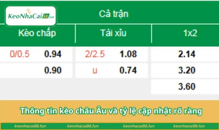 Thông tin kèo châu Âu và tỷ lệ cập nhật rõ ràng
