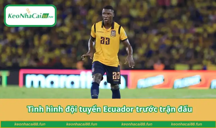 Tình hình đội tuyển Ecuador trước trận đấu