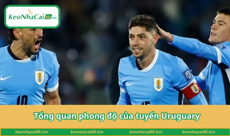 Tổng quan phong độ của tuyển Uruguary