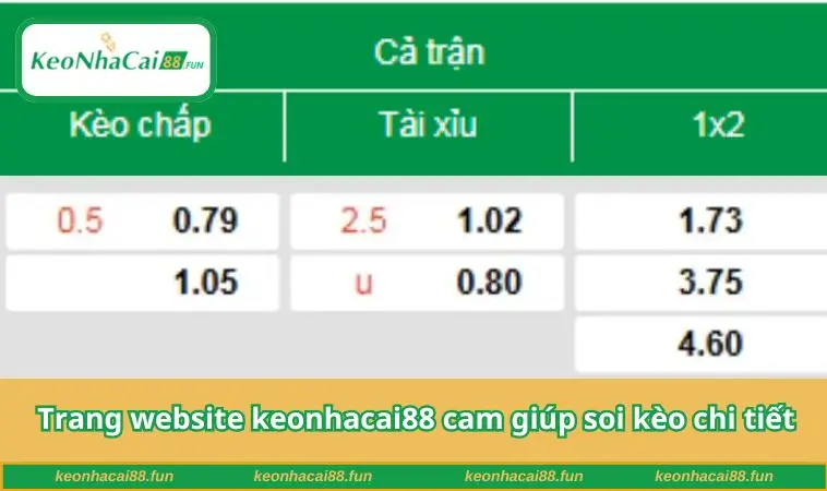 Trang website keonhacai88 cam giúp soi kèo chi tiết