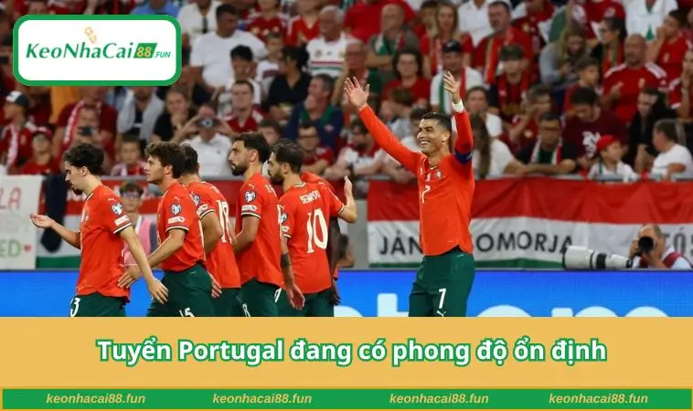 Tuyển Portugal đang có phong độ ổn định