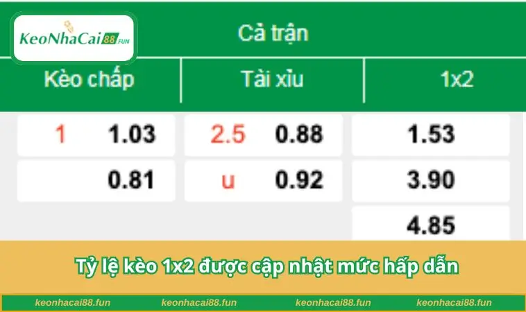 Tỷ lệ kèo 1x2 được cập nhật mức hấp dẫn