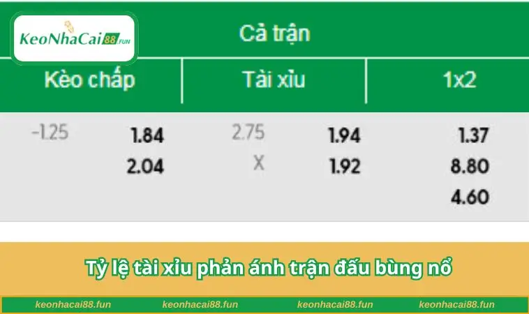 Tỷ lệ tài xỉu phản ánh trận đấu bùng nổ